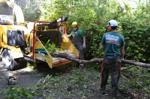 tree services Hooper Bay